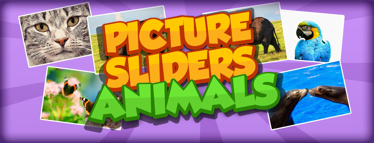 Picture Slider - Animals HTML5 Game